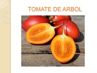 TOMATE DE ARBOL
 