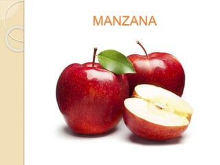 MANZANA
 