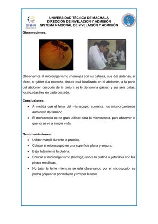 UNIVERSIDAD TÉCNICA DE MACHALA
DIRECCIÓN DE NIVELACIÓN Y ADMISIÓN
SISTEMA NACIONAL DE NIVELACIÓN Y ADMISIÓN
Observaciones:

Observamos al microorganismo (hormiga) con su cabeza, sus dos antenas, el
tórax, el gáster (La estrecha cintura está localizada en el abdomen, a la parte
del abdomen después de la cintura se le denomina gáster) y sus seis patas,
localizadas tres en cada costado.
Conclusiones:
A medida que el lente del microscopio aumenta, los microorganismos
aumentan de tamaño.
El microscopio es de gran utilidad para la microscopía, para observar lo
que no se ve a simple vista.

Recomendaciones:
Utilizar mandil durante la práctica.
Colocar el microscopio en una superficie plana y segura.
Bajar totalmente la platina.
Colocar el microorganismo (hormiga) sobre la platina sujetándola con las
pinzas metálicas.
No bajar la lente mientras se esté observando por el microscopio, se
podría golpear el portaobjeto y romper la lente

 