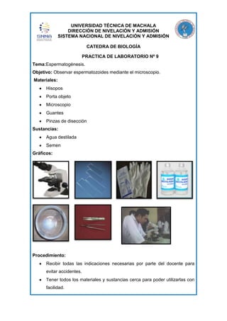 UNIVERSIDAD TÉCNICA DE MACHALA
DIRECCIÓN DE NIVELACIÓN Y ADMISIÓN
SISTEMA NACIONAL DE NIVELACIÓN Y ADMISIÓN
CATEDRA DE BIOLOGÍA
PRACTICA DE LABORATORIO Nº 9
Tema:Espermatogénesis.
Objetivo: Observar espermatozoides mediante el microscopio.
Materiales:
Hisopos
Porta objeto
Microscopio
Guantes
Pinzas de disección
Sustancias:
Agua destilada
Semen
Gráficos:

Procedimiento:
Recibir todas las indicaciones necesarias por parte del docente para
evitar accidentes.
Tener todos los materiales y sustancias cerca para poder utilizarlas con
facilidad.

 