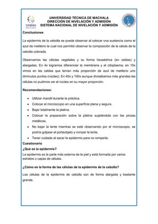 UNIVERSIDAD TÉCNICA DE MACHALA
DIRECCIÓN DE NIVELACIÓN Y ADMISIÓN
SISTEMA NACIONAL DE NIVELACIÓN Y ADMISIÓN
Conclusiones
La epidermis de la cebolla se puede observar al colocar una sustancia como el
azul de metileno la cual nos permitió observar la composición de la célula de la
cebolla colorada.
Observamos las células vegetales y su forma hexaédrica (en celdas) y
alargadas. En 4x logramos diferenciar la membrana y el citoplasma; en 10x
vimos en las celdas que tenían más proporción de azul de metileno uno
diminutos puntos (núcleo). En 40x y 100x aunque divisábamos más grandes las
células no pudimos ver el núcleo en su mayor proporción.
Recomendaciones:
Utilizar mandil durante la práctica.
Colocar el microscopio en una superficie plana y segura.
Bajar totalmente la platina.
Colocar la preparación sobre la platina sujetándola con las pinzas
metálicas.
No bajar la lente mientras se esté observando por el microscopio, se
podría golpear el portaobjeto y romper la lente.
Tener cuidado al sacar la epidermis para no romperla.
Cuestionario
¿Qué es la epidermis?
La epidermis es la parte más externa de la piel y está formada por varios
estratos o capas de células.
¿Cómo es la forma de las células de la epidermis de la cebolla?
Las células de la epidermis de cebolla son de forma alargada y bastante
grande.

 