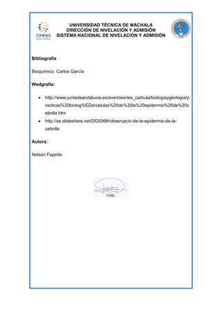UNIVERSIDAD TÉCNICA DE MACHALA
DIRECCIÓN DE NIVELACIÓN Y ADMISIÓN
SISTEMA NACIONAL DE NIVELACIÓN Y ADMISIÓN

Bibliografía
Bioquímico. Carlos García
Wedgrafia:
http://www.juntadeandalucia.es/averroes/ies_carbula/biologiaygeologia/p
racticas%20biolog%EDa/celulas%20de%20la%20epidermis%20de%20c
ebolla.htm
http://es.slideshare.net/DGS998/observacin-de-la-epidermis-de-lacebolla
Autora:
Nelson Fajardo

 