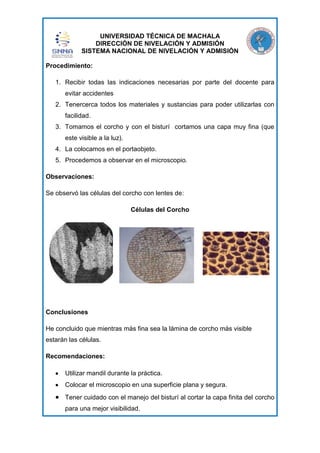 UNIVERSIDAD TÉCNICA DE MACHALA
DIRECCIÓN DE NIVELACIÓN Y ADMISIÓN
SISTEMA NACIONAL DE NIVELACIÓN Y ADMISIÓN
Procedimiento:
1. Recibir todas las indicaciones necesarias por parte del docente para
evitar accidentes
2. Tenercerca todos los materiales y sustancias para poder utilizarlas con
facilidad.
3. Tomamos el corcho y con el bisturí cortamos una capa muy fina (que
este visible a la luz).
4. La colocamos en el portaobjeto.
5. Procedemos a observar en el microscopio.
Observaciones:
Se observó las células del corcho con lentes de:
Células del Corcho

Conclusiones
He concluido que mientras más fina sea la lámina de corcho más visible
estarán las células.
Recomendaciones:
Utilizar mandil durante la práctica.
Colocar el microscopio en una superficie plana y segura.
Tener cuidado con el manejo del bisturí al cortar la capa finita del corcho
para una mejor visibilidad.

 