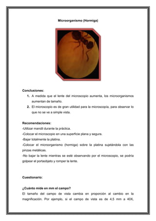 Microorganismo (Hormiga)

Conclusiones:
1. A medida que el lente del microscopio aumenta, los microorganismos
aumentan de tamaño.
2. El microscopio es de gran utilidad para la microscopía, para observar lo
que no se ve a simple vista.

Recomendaciones:
-Utilizar mandil durante la práctica.
-Colocar el microscopio en una superficie plana y segura.
-Bajar totalmente la platina.
-Colocar el microorganismo (hormiga) sobre la platina sujetándola con las
pinzas metálicas.
-No bajar la lente mientras se esté observando por el microscopio, se podría
golpear el portaobjeto y romper la lente.

Cuestionario:

¿Cuánto mide en mm el campo?
El tamaño del campo de vista cambia en proporción al cambio en la
magnificación. Por ejemplo, si el campo de vista es de 4,5 mm a 40X,

 