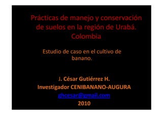 Prácticas de manejo y conservación
  de suelos en la región de Urabá.
             Colombia
   Estudio de caso en el cultivo de
              banano.


          J. César Gutiérrez H.
  Investigador CENIBANANO-AUGURA
          ghcesar@gmail.com
                  2010
 