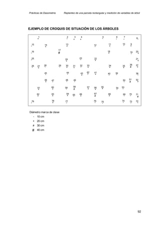 Prácticas de Dasometría Replanteo de una parcela rectangular y medición de variables de árbol
EJEMPLO DE CROQUIS DE SITUACIÓN DE LOS ÁRBOLES
# #
# #
# # # #
#
#
#
#
#
#
#
# # # # #
#
#
#
#
#
#
#
# # # #
# # # # # #
#
#
#
#
#
#
#
#
# # # # # # #
#
#
#
#
#
#
#
#
#
# # # # # # # # #
#
#
#
#
#
#
#
#
#
1 2 3 4 5 6 7
8
9
10
11
12
13
14
15
16
17
18 19 20
21
22
23
24
25
26 27 28 29 30 31 32 33 34 35
36 37
38
39
40
41
42
43
44
45
46 47 48 49 50 51 52
53
54
55
56
57
58
59
60
61
62 63 64 65 66 67 68 69 70 71
72
73
74
75
76
77
78
79
Diámetro marca de clase
#
10 cm
# 20 cm
# 30 cm
# 40 cm
92
 
