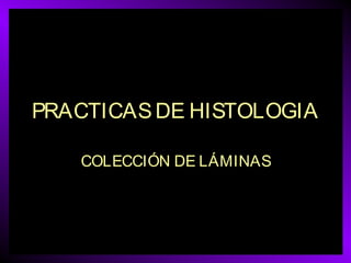 PRACTICAS DE HISTOLOGIA
COLECCIÓN DE LÁMINAS

 