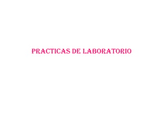 Practicas de laboratorio 