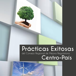 Prácticas Exitosas
del Consejo Regional de Mejora Regulatoria
Centro-País
 