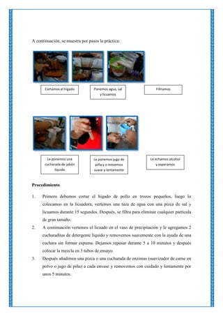 A continuación, se muestra por pasos la práctica:

Cortamos el hígado

Ponemos agua, sal
y licuamos

Le ponemos una
cucharada de jabón
líquido

Le ponemos jugo de
piña y o movemos
suave y lentamente

Filtramos

Le echamos alcohol
y esperamos

Procedimiento
1.

Primero debemos cortar el hígado de pollo en trozos pequeños, luego lo
colocamos en la licuadora, vertemos una taza de agua con una pizca de sal y
licuamos durante 15 segundos. Después, se filtra para eliminar cualquier partícula
de gran tamaño.

2.

A continuación vertemos el licuado en el vaso de precipitación y le agregamos 2
cucharaditas de detergente líquido y removemos suavemente con la ayuda de una
cuchara sin formar espuma. Dejamos reposar durante 5 a 10 minutos y después
colocar la mezcla en 3 tubos de ensayo.

3.

Después añadimos una pizca o una cucharada de enzimas (suavizador de carne en
polvo o jugo de piña) a cada envase y removemos con cuidado y lentamente por
unos 5 minutos.

 