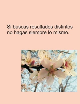 Si buscas resultados distintos
no hagas siempre lo mismo.
 