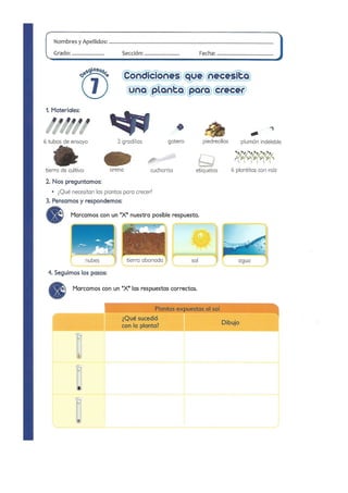Practicas de Laboratorio para Primaria - II Parte