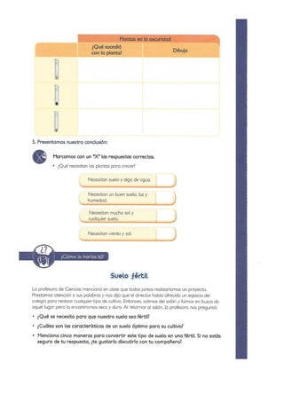 Practicas de Laboratorio para Primaria - II Parte