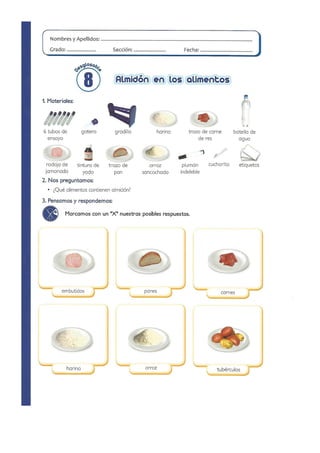 Practicas de Laboratorio para Primaria - II Parte