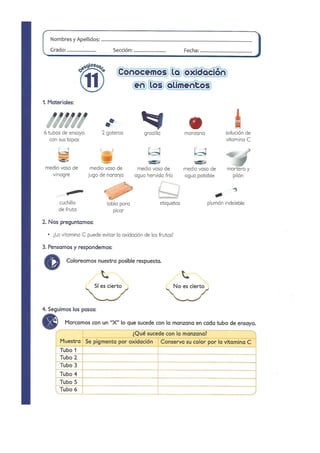 Practicas de Laboratorio para Primaria - II Parte