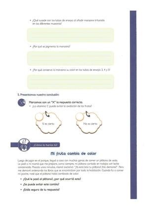 Practicas de Laboratorio para Primaria - II Parte