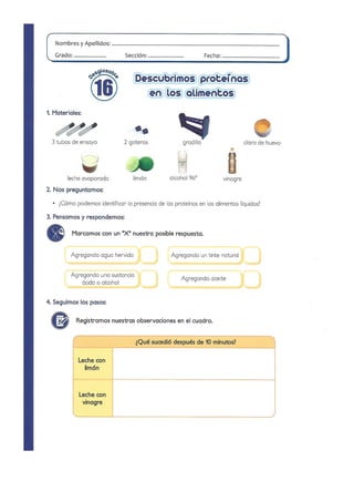 Practicas de Laboratorio para Primaria - II Parte