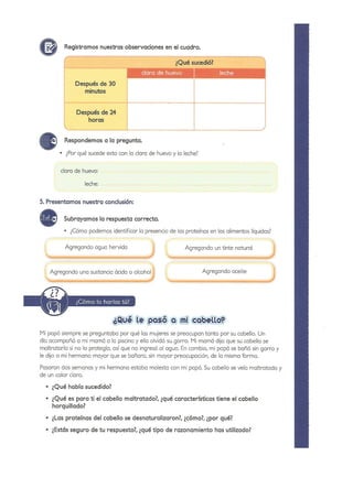 Practicas de Laboratorio para Primaria - II Parte
