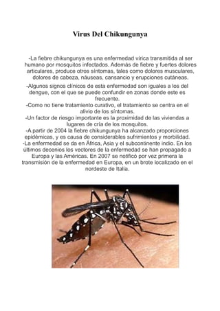 Virus Del Chikungunya 
-La fiebre chikungunya es una enfermedad vírica transmitida al ser 
humano por mosquitos infectados. Además de fiebre y fuertes dolores 
articulares, produce otros síntomas, tales como dolores musculares, 
dolores de cabeza, náuseas, cansancio y erupciones cutáneas. 
-Algunos signos clínicos de esta enfermedad son iguales a los del 
dengue, con el que se puede confundir en zonas donde este es 
frecuente. 
-Como no tiene tratamiento curativo, el tratamiento se centra en el 
alivio de los síntomas. 
-Un factor de riesgo importante es la proximidad de las viviendas a 
lugares de cría de los mosquitos. 
-A partir de 2004 la fiebre chikungunya ha alcanzado proporciones 
epidémicas, y es causa de considerables sufrimientos y morbilidad. 
-La enfermedad se da en África, Asia y el subcontinente indio. En los 
últimos decenios los vectores de la enfermedad se han propagado a 
Europa y las Américas. En 2007 se notificó por vez primera la 
transmisión de la enfermedad en Europa, en un brote localizado en el 
nordeste de Italia. 
 