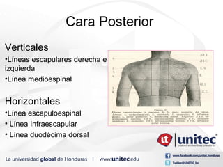 Practicas medicas | PPT
