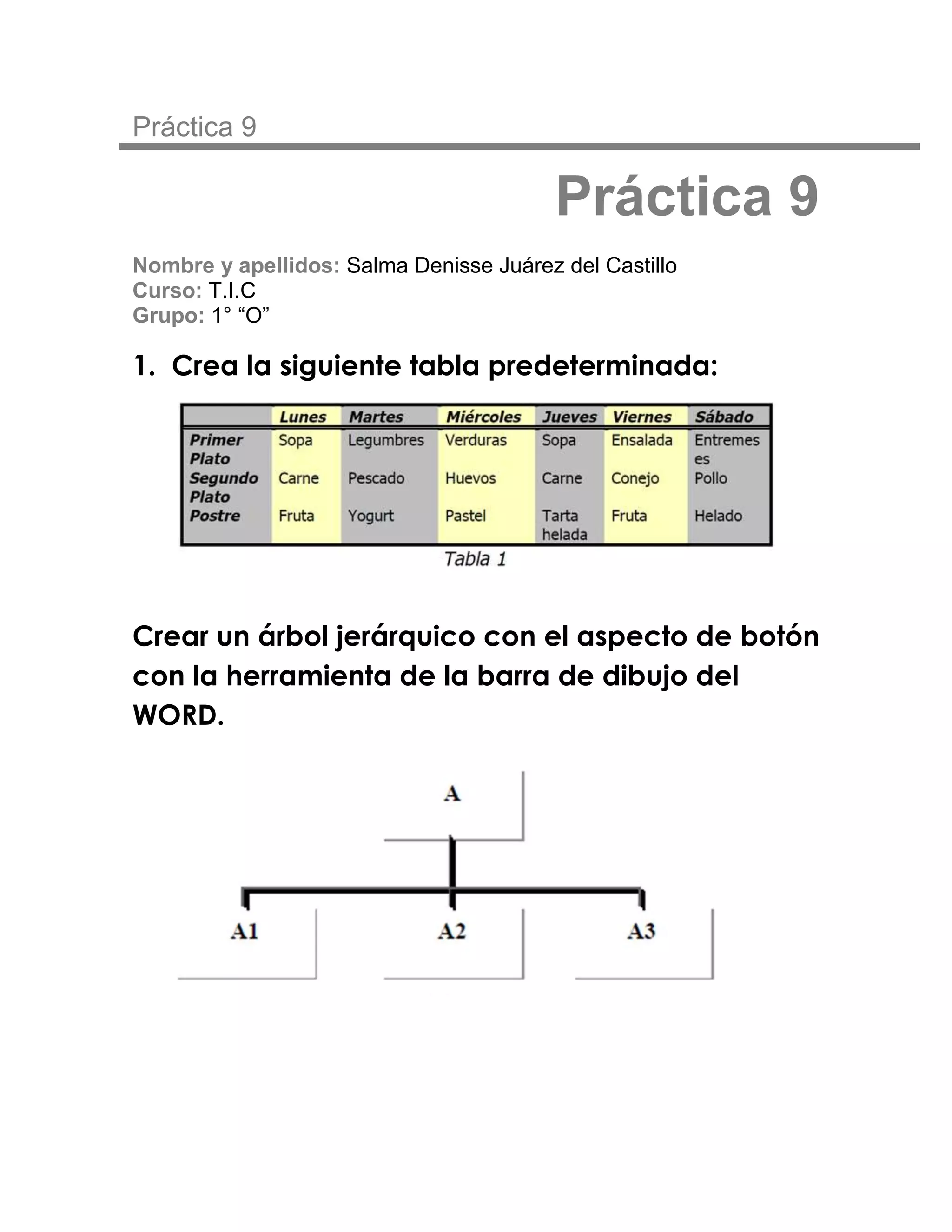 Práctica 9

                                         Práctica 9
Nombre y apellidos: Salma Denisse Juárez del Castillo
Curso: T.I.C
Grupo: 1° “O”

1. Crea la siguiente tabla predeterminada:




Crear un árbol jerárquico con el aspecto de botón
con la herramienta de la barra de dibujo del
WORD.
 