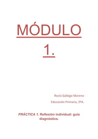 MÓDULO
  1.

                      Rocío Gallego Moreno
                    Educación Primaria, 2ºA.


PRÁCTICA 1. Reflexión individual: guía
           diagnóstica.
 