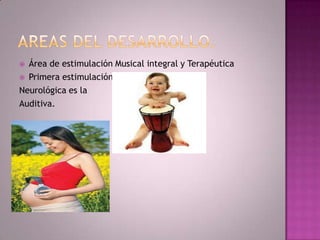  Área de estimulación Musical integral y Terapéutica
 Primera estimulación

Neurológica es la
Auditiva.
 