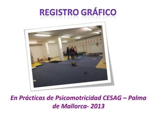 En Prácticas de Psicomotricidad CESAG – Palma
               de Mallorca- 2013
 