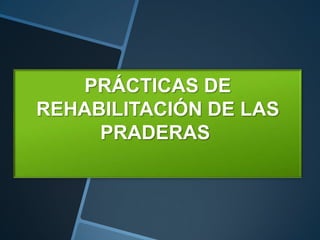 PRÁCTICAS DE
REHABILITACIÓN DE LAS
     PRADERAS
 