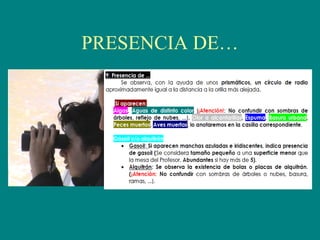 PRESENCIA DE…
 
