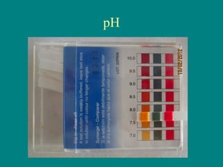 pH
 