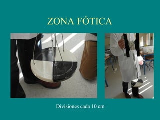 ZONA FÓTICA
Divisiones cada 10 cm
 