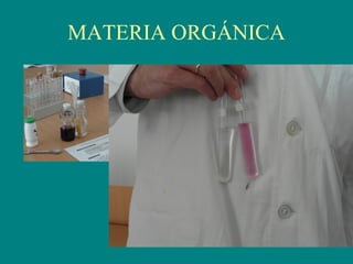 MATERIA ORGÁNICA
 
