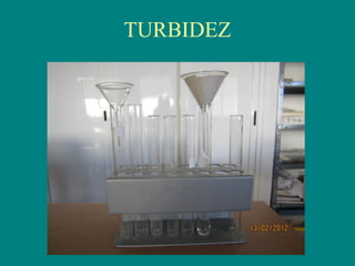TURBIDEZ
 
