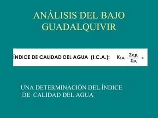 ANÁLISIS DEL BAJO
GUADALQUIVIR
UNA DETERMINACIÓN DEL ÍNDICE
DE CALIDAD DEL AGUA
 