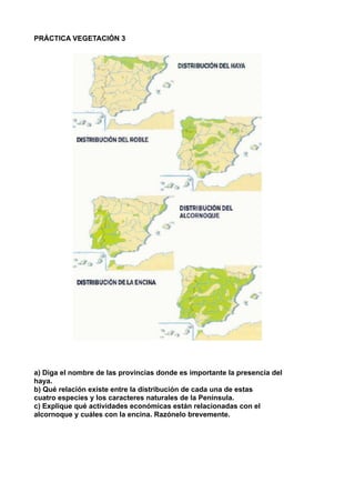 PRÁCTICA VEGETACIÓN 3
a) Diga el nombre de las provincias donde es importante la presencia del
haya.
b) Qué relación existe entre la distribución de cada una de estas
cuatro especies y los caracteres naturales de la Península.
c) Explique qué actividades económicas están relacionadas con el
alcornoque y cuáles con la encina. Razónelo brevemente.
	
 