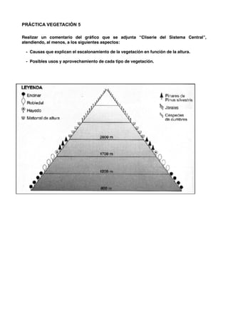 PRÁCTICA VEGETACIÓN 5
Realizar un comentario del gráﬁco que se adjunta “Cliserie del Sistema Central”,
atendiendo, al menos, a los siguientes aspectos:
-  Causas que explican el escalonamiento de la vegetación en función de la altura.
-  Posibles usos y aprovechamiento de cada tipo de vegetación.
 
