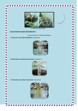 4. Obtención del destilado

REACCIONES DE RECONOCIMIENTO
Reconocimiento en Medios Biológicos
1.-Reaccion Con ácido clorhídrico (positivo)

2.-Reacción con bromuro de potasio (negativo)

3.- Reacción con yoduro de potasio (positivo)

 