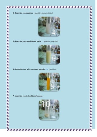 4.-Reacción con oxalatos (positivo característico)

5.-Reacción con tiosulfato de sodio

(positivo reactivo)

6.- Reacción con el cromato de potasio

7.- reacción con la feniltiocarbazona

(positivo)

 