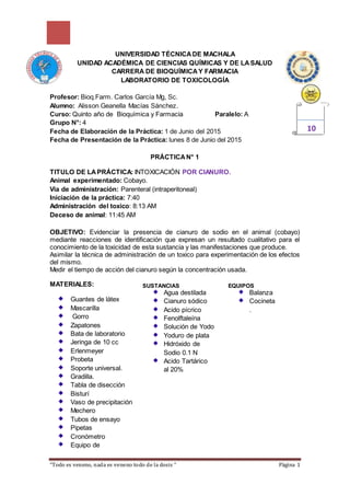 “Todo es veneno, nada es veneno todo de la dosis “ Página 1
UNIVERSIDAD TÉCNICADE MACHALA
UNIDAD ACADÉMICA DE CIENCIAS QUÍMICAS Y DE LASALUD
CARRERA DE BIOQUÍMICAY FARMACIA
LABORATORIO DE TOXICOLOGÍA
Profesor: Bioq.Farm. Carlos García Mg, Sc.
Alumno: Alisson Geanella Macías Sánchez.
Curso: Quinto año de Bioquímica y Farmacia Paralelo: A
Grupo N°: 4
Fecha de Elaboración de la Práctica: 1 de Junio del 2015
Fecha de Presentación de la Práctica: lunes 8 de Junio del 2015
PRÁCTICAN° 1
TITULO DE LAPRÁCTICA: INTOXICACIÓN POR CIANURO.
Animal experimentado: Cobayo.
Vía de administración: Parenteral (intraperitoneal)
Iniciación de la práctica: 7:40
Administración del toxico: 8:13 AM
Deceso de animal: 11:45 AM
OBJETIVO: Evidenciar la presencia de cianuro de sodio en el animal (cobayo)
mediante reacciones de identificación que expresan un resultado cualitativo para el
conocimiento de la toxicidad de esta sustancia y las manifestaciones que produce.
Asimilar la técnica de administración de un toxico para experimentación de los efectos
del mismo.
Medir el tiempo de acción del cianuro según la concentración usada.
MATERIALES:
Guantes de látex
Mascarilla
Gorro
Zapatones
Bata de laboratorio
Jeringa de 10 cc
Erlenmeyer
Probeta
Soporte universal.
Gradilla.
Tabla de disección
Bisturí
Vaso de precipitación
Mechero
Tubos de ensayo
Pipetas
Cronómetro
Equipo de
10
SUSTANCIAS
Agua destilada
Cianuro sódico
Acido pícrico
Fenolftaleína
Solución de Yodo
Yoduro de plata
Hidróxido de
Sodio 0.1 N
Acido Tartárico
al 20%
EQUIPOS
Balanza
Cocineta
.
 