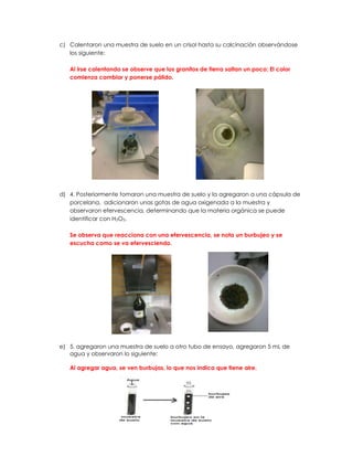 c) Calentaron una muestra de suelo en un crisol hasta su calcinación observándose
   los siguiente:

   Al irse calentando se observe que los granitos de tierra saltan un poco; El color
   comienza cambiar y ponerse pálido.




d) 4. Posteriormente tomaron una muestra de suelo y la agregaron a una cápsula de
   porcelana, adicionaron unas gotas de agua oxigenada a la muestra y
   observaron efervescencia, determinando que la materia orgánica se puede
   identificar con H2O2.

   Se observa que reacciona con una efervescencia, se nota un burbujeo y se
   escucha como se va efervesciendo.




e) 5. agregaron una muestra de suelo a otro tubo de ensayo, agregaron 5 mL de
   agua y observaron lo siguiente:

   Al agregar agua, se ven burbujas, lo que nos indica que tiene aire.
 