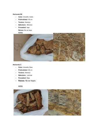 Horizonte B2
- Color: Amarillo medio
- Profundidad: 40 cm
- Textura: Arenoso
- Estructura: Blocosa
- Porosidad: baja
Raíces: No se haya
FOTO:
Horizonte C
- Color: Amarillo Claro
- Profundidad: 80 cm
- Textura: Arenoso
- Estructura: Laminar
- Porosidad: Baja
- Raíces: No se hayan.
FOTO
 