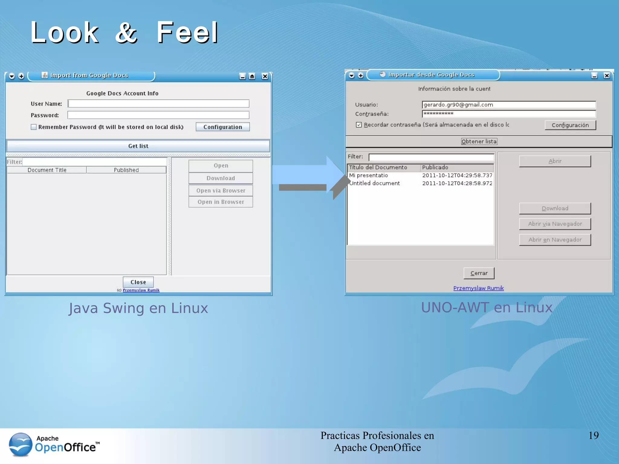 Look & Feel




  Java Swing en Linux                         UNO-AWT en Linux




                        Practicas Profesionales en               19
                           Apache OpenOffice
 