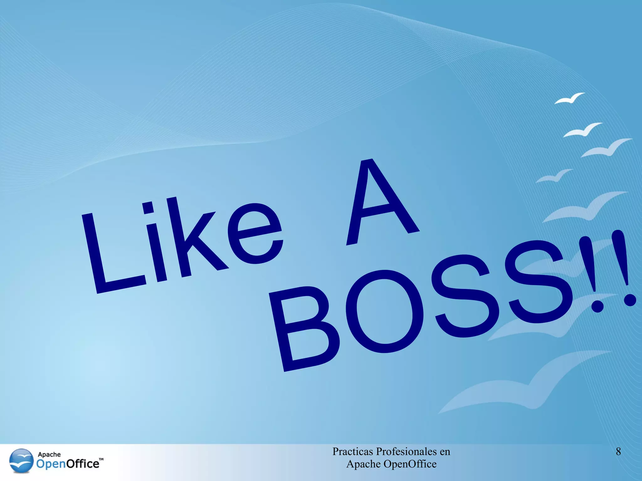 Practicas Profesionales en
Apache OpenOffice
8
Like A
!!
BOSS
 