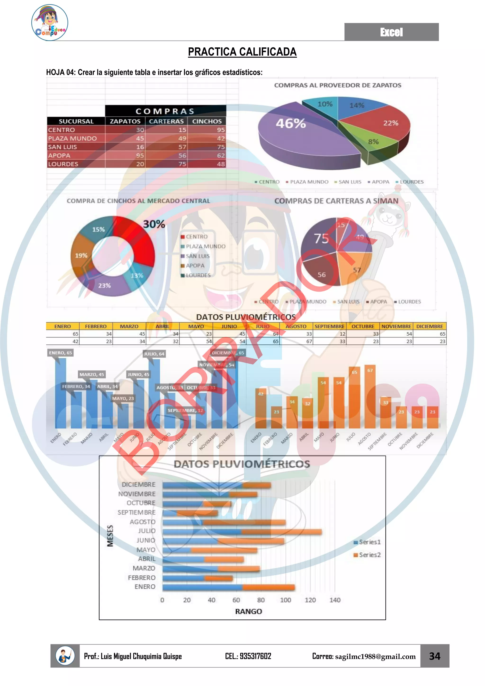 Excel
Prof.: Luis Miguel Chuquimia Quispe CEL.: 935317602 Correo: sagilmc1988@gmail.com 34
PRACTICA CALIFICADA
HOJA 04: Crear la siguiente tabla e insertar los gráficos estadísticos:
B
O
R
R
A
D
O
R
 