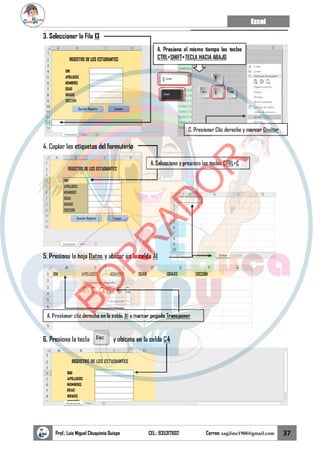 Excel
Prof.: Luis Miguel Chuquimia Quispe CEL.: 935317602 Correo: sagilmc1988@gmail.com 37
B
O
R
R
A
D
O
R
 