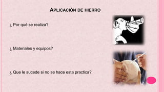 APLICACIÓN DE HIERRO
¿ Por qué se realiza?
¿ Materiales y equipos?
¿ Que le sucede si no se hace esta practica?
 
