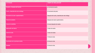 ACTIVIDAD TIEMPO DE REALIZACION
Secado y limpieza del lechón. al momento de parto
Corte y desinfección del ombligo. Al momento del parto.
Provisión de calor suplementario. Después del corte y desinfección del ombligo.
Toma de calostro. Después del calor suplementario.
Corte de colmillos. 6 horas después de nacido.
Aplicación de hierro. 3 días de nacido.
Corte de cola. 3 días de nacido.
Castración. 10 días de vida.
Suministro de la primera ración. 25 días de vida.
Destete. 30 días de vida.
 