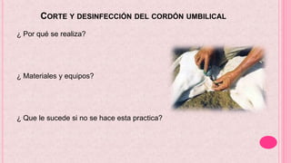 CORTE Y DESINFECCIÓN DEL CORDÓN UMBILICAL
¿ Por qué se realiza?
¿ Materiales y equipos?
¿ Que le sucede si no se hace esta practica?
 