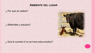 AMBIENTE DEL LUGAR
¿ Por qué se realiza?
¿ Materiales y equipos?
¿ Que le sucede si no se hace esta practica?
 